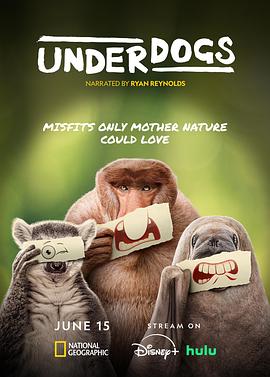 失败者2025(全集)