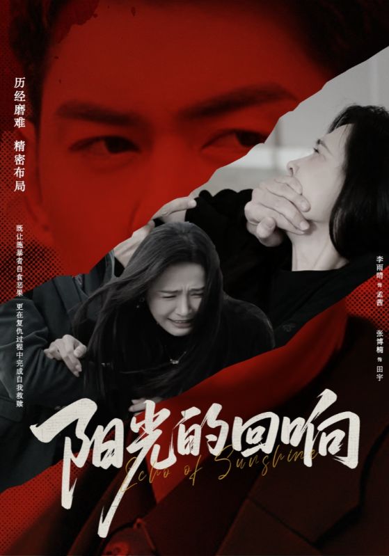 阳光的回响(全集)