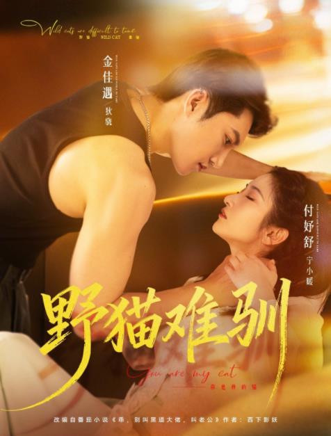 野猫难驯(全集)